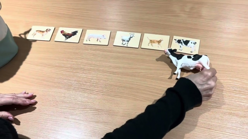 Embedded thumbnail for Farm Animal Matching Activity