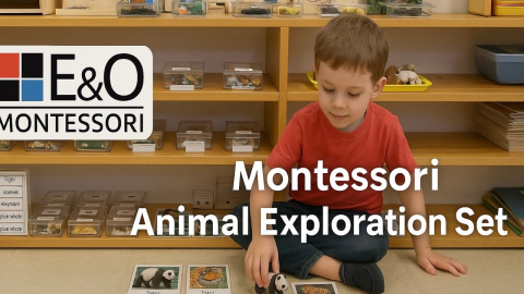 Embedded thumbnail for Cultural Set: Animal Exploration