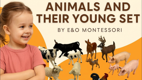 Embedded thumbnail for Animals and Their Young 