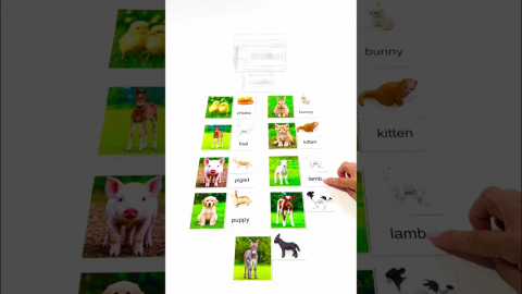 Embedded thumbnail for Baby Farm Animals with Cards