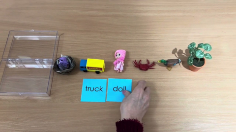 Embedded thumbnail for Phonetic Object Box Two with Blue Cards