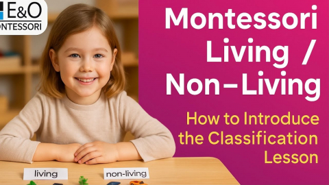 Embedded thumbnail for Living / Non-living Classification