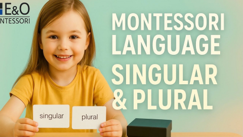 Embedded thumbnail for Singular and Plural Exercise
