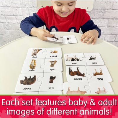 Match It! Animal Families