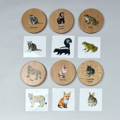 Animal track stamps matched with illustrated cards of raccoon, skunk, frog, tiger, fox, and rabbit