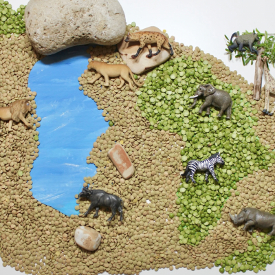 Montessori African animals figurines used for classification and language activities