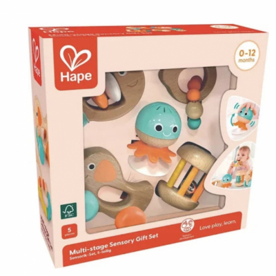 Baby wooden multi-stage sensory gift set with five wooden toys for infants 0-12 months