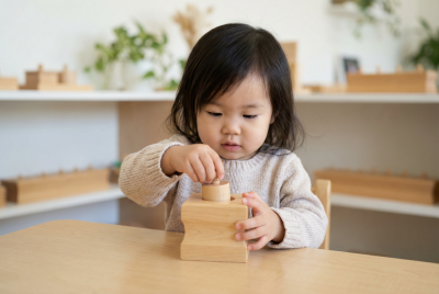 Toddler Cylinder Blocks – Set of 3 - E&O Montessori Materials