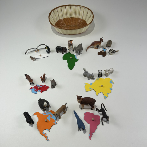 Animals of the World–First Presentation 