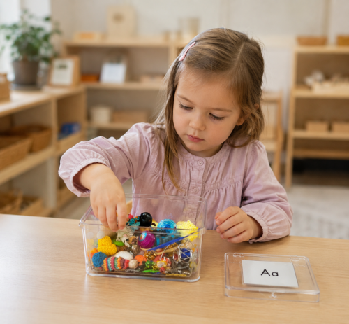 Montessori Alphabet Objects (Initial Sounds) with cards | E&O Montessori
