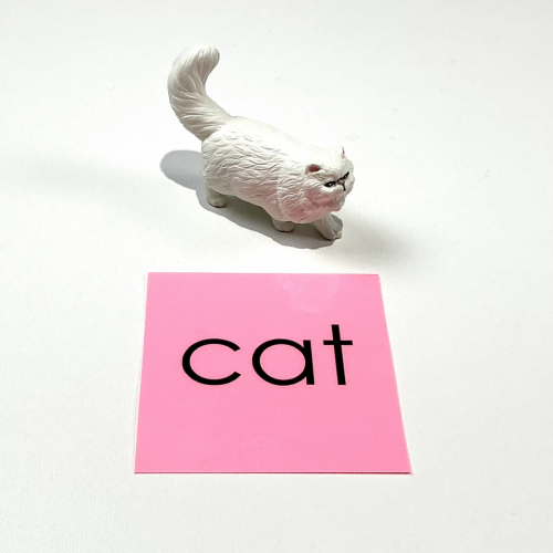 Montessori Phonetic Object Box One With Pink Cards 