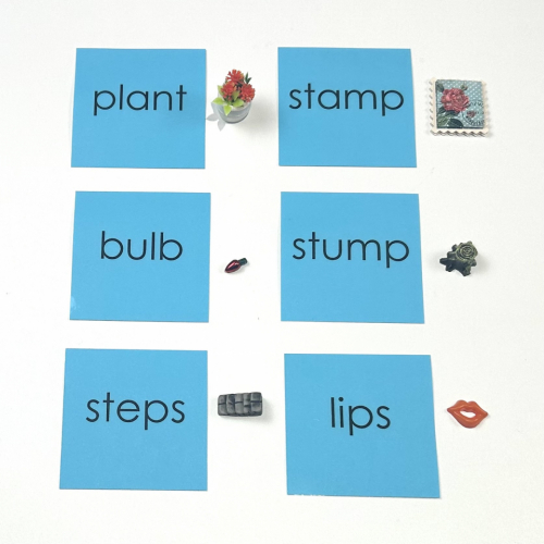 Blue Wooden Boxes with Objects and Word Cards By E&O Montessori