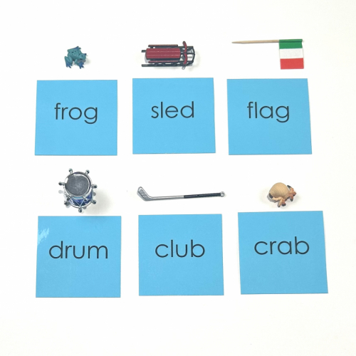 Montessori Clear Plastic Boxes with Objects and Blue Word Cards