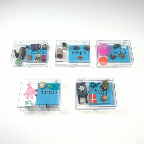 Montessori Clear Plastic Boxes with Objects and Blue Word Cards