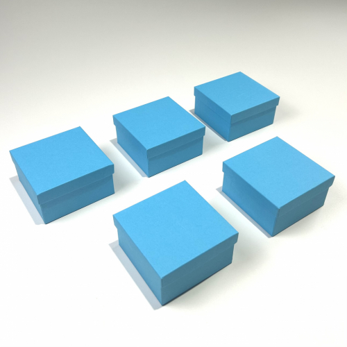 Blue Cardboard Boxes with Objects and Word Cards