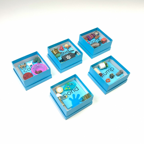 Montessori Blue Cardboard Boxes with Objects and Word Cards