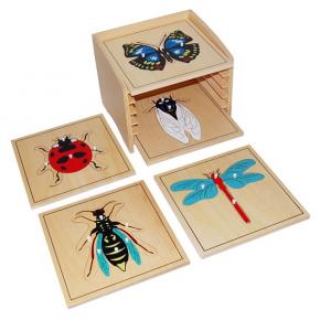 Insect Puzzle Cabinet with 5 Puzzles
