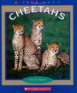 Animals-Set of 10 Books (Paperback)  - Montessori Materials