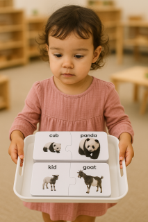 Plastic tray with cut-out side handles