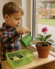 Watering Plants Activity