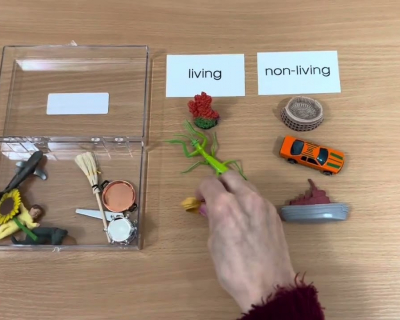 Embedded thumbnail for Living / Non-living Classification