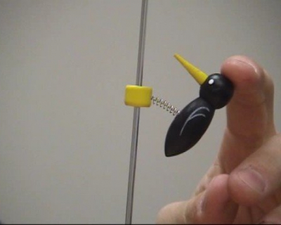 Embedded thumbnail for Tapping Woodpecker on Pole