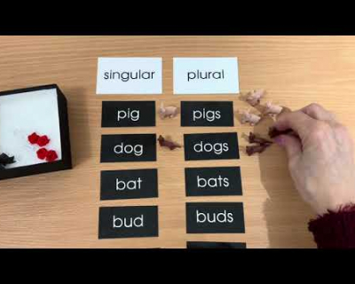 Embedded thumbnail for Singular and Plural Exercise