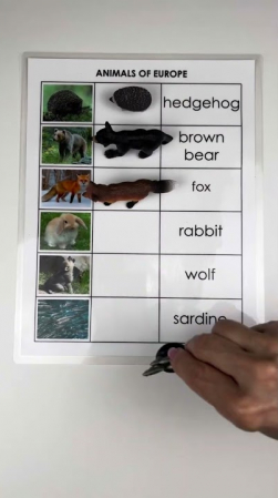 Embedded thumbnail for Animals of the World - the Whole Set