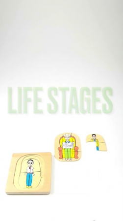 Embedded thumbnail for Human Growth Layer Puzzle – Man (Montessori Sequencing Puzzle)